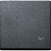 КЛАВИША С ПИКТОГРАММОЙ «КЛЮЧ» АНТР | MTN3303-0414 Schneider Electric