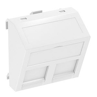 Корпус компьютерной розетки Modul45 тип OBO (наклонный) 45x45 мм (серебристый) (DTS-2RM AL1) | 6119302 Bettermann