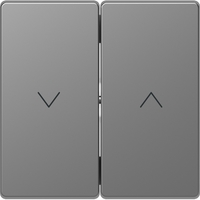 СТАЛЬ SD | MTN3855-6036 Schneider Electric D-Life КЛАВИША-КНОПКА для жалюзи НЕРЖ