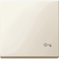 КЛАВИША С ПИКТОГРАММОЙ «КЛЮЧ» АЛЮМ | MTN3303-0344 Schneider Electric