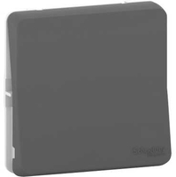 Выключатель кнопочный Mureva Styl IP55 механизм антрацит SchE MUR35027 Schneider Electric