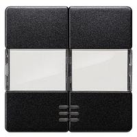 ЧЕРНЫЙ МЕТАЛЛИК ВЫКЛЮЧАТЕЛЬ 2 КЛАВИШИ С ОКНОМ И ПОЛЕМ ДЛЯ НАДПИСИ 55X55MM DELTA I-SYSTEM Siemens 5TG6233