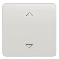 ВЫКЛЮЧАТЕЛЬ 1 КЛАВИША С ВВЕРХ/ВНИЗ СИМВОЛАМИ DELTA PROFIL ТИТАНОВО-БЕЛЫЙ Siemens 5TG7960