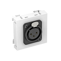 Мультимедийная рамка XLR Modul45 (белый) (MTG-X3F S RW1) | 6105250 OBO Bettermann
