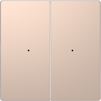 Клавиша двойная Merten D-Life PlusLink без символов SD шампань SchE MTN5220-6051 Schneider Electric