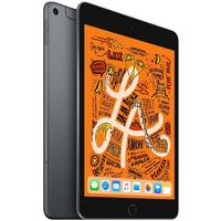 Планшет iPad mini Wi-Fi+Cellular 256GB Space Grey MUXC2RU/A APPLE 1000512826