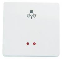 STYLO кнопка 2-модульный EV (NIE2204_7BM) ABB 2204.7 BM