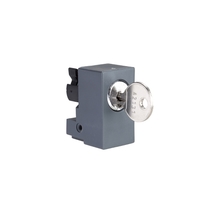 Личинка цилиндрическая с ключом 421 - NSYIN421E1 Schneider Electric