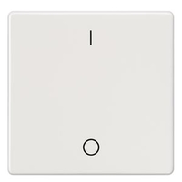 ВЫКЛЮЧАТЕЛЬ 1 КЛАВИША С O/I СИМВОЛАМИ 55X55MM DELTA I-SYSTEM ТИТАНОВО-БЕЛЫЙ Siemens 5TG6202