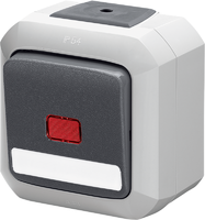Выключатель одноклавишный ABB Variant+ IP54 двухполюсный с контрольной подсветкой серый и полем для надписи - 2CHN580253C4517