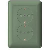 Розетка 2-м СП W59 16А IP20 с заземл. защ. шторки в сборе шампань SchE RS16-255-48 Schneider Electric
